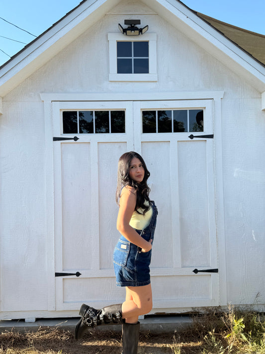Vintage overalls